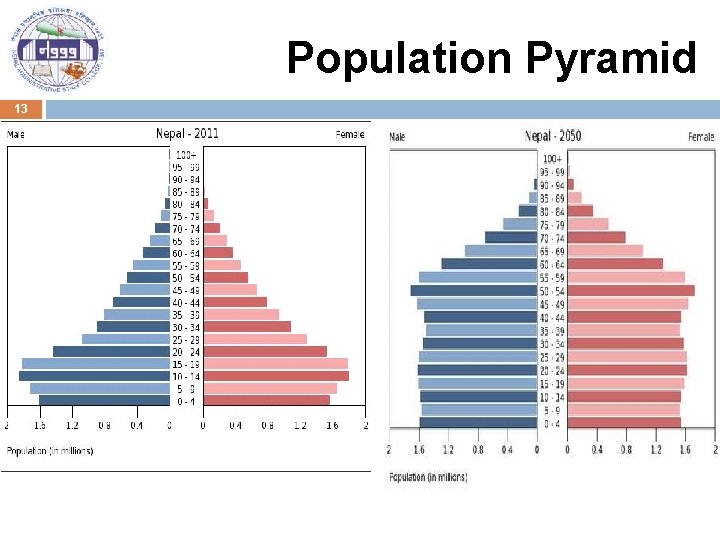 Population Pyramid 13 