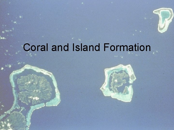 Coral and Island Formation 