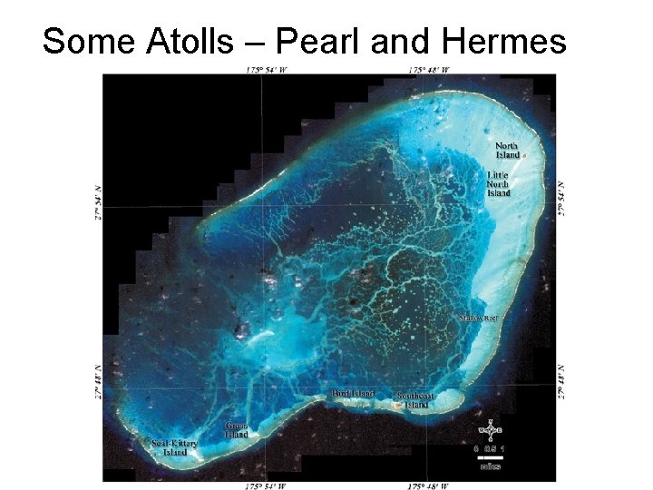 Some Atolls – Pearl and Hermes 