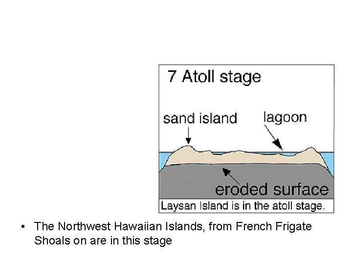  • The Northwest Hawaiian Islands, from French Frigate Shoals on are in this