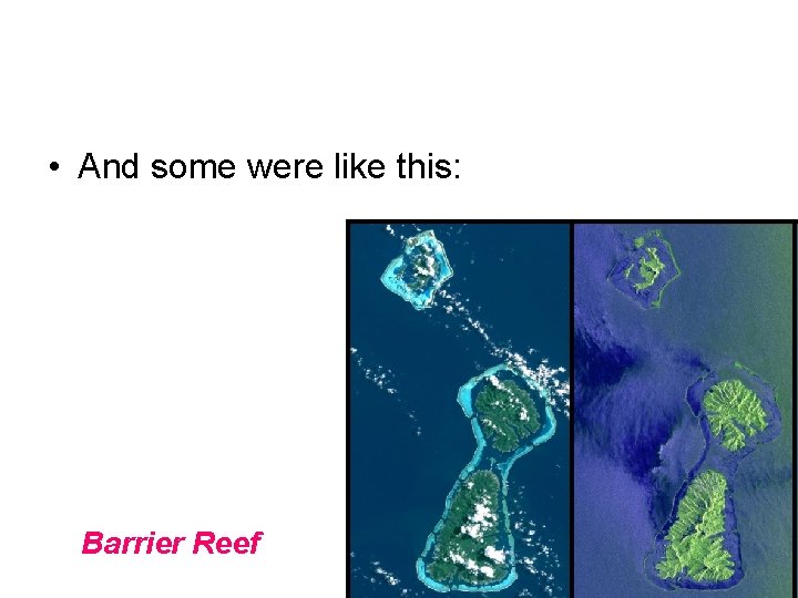  • And some were like this: Barrier Reef 