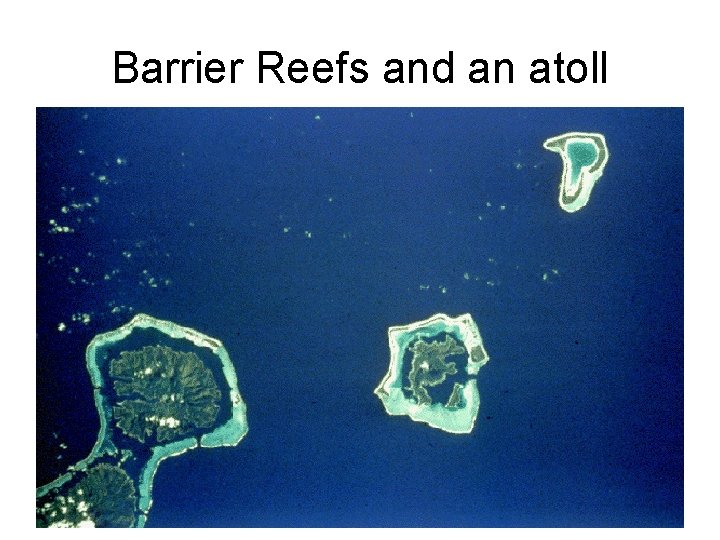 Barrier Reefs and an atoll 