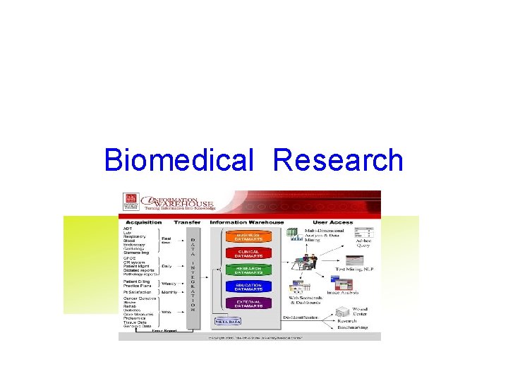 Biomedical Research 