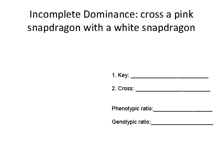 Incomplete Dominance: cross a pink snapdragon with a white snapdragon 1. Key: _____________ 2.