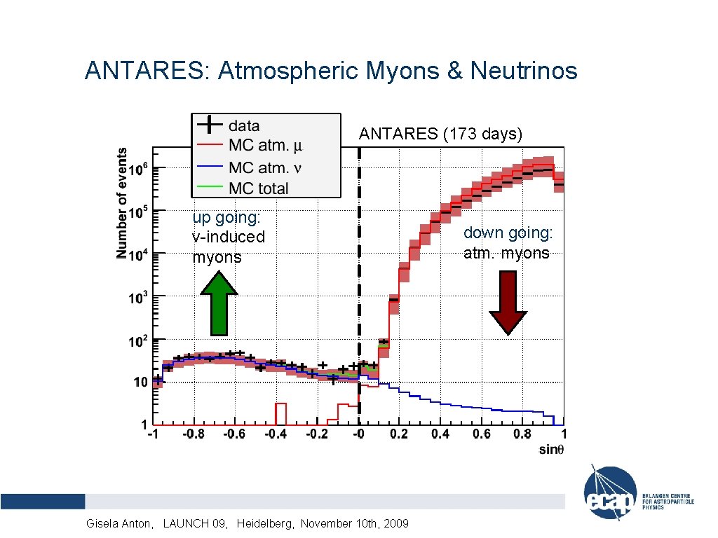 ANTARES: Atmospheric Myons & Neutrinos ANTARES (173 days) up going: ν-induced myons Alexander Kappes,