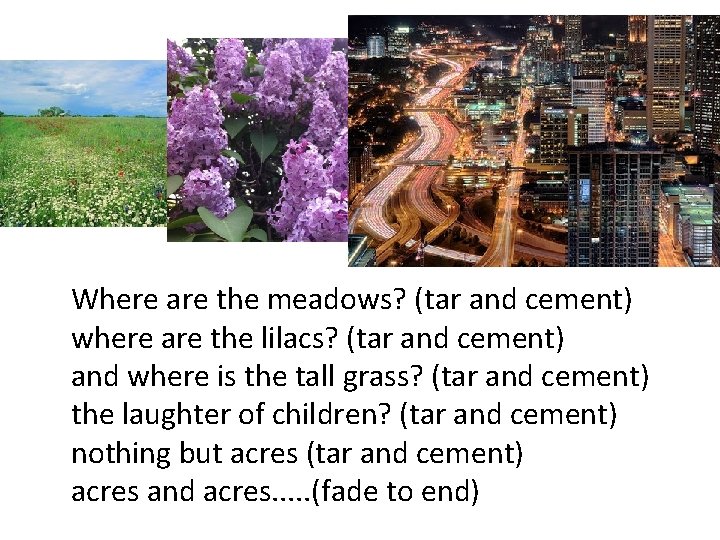 Where are the meadows? (tar and cement) where are the lilacs? (tar and cement)