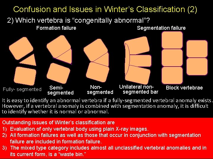 Confusion and Issues in Winter’s Classification (2) 2) Which vertebra is “congenitally abnormal”? Segmentation