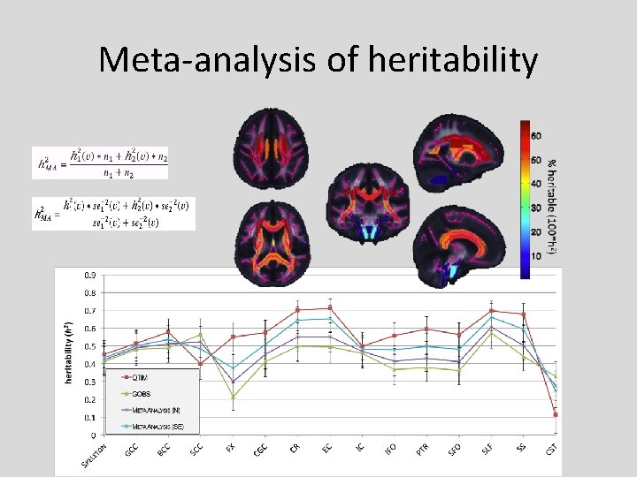 Meta-analysis of heritability 