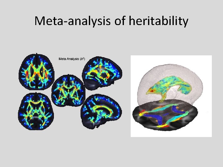 Meta-analysis of heritability 