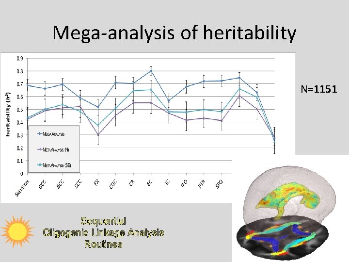 Mega-analysis of heritability N=1151 Sequential Oligogenic Linkage Analysis Routines 