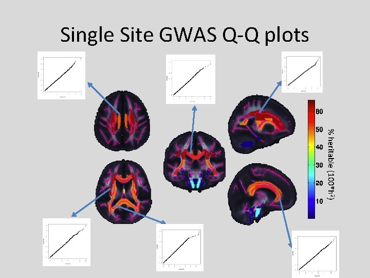 Single Site GWAS Q-Q plots 