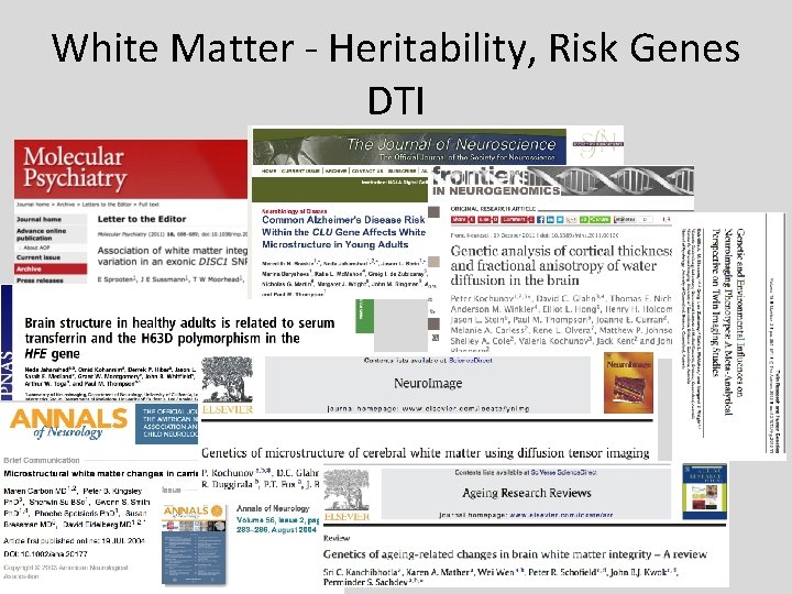 White Matter - Heritability, Risk Genes DTI 