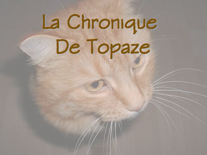 La Chronique De Topaze 