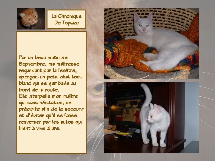 La Chronique De Topaze Par un beau matin de Septembre, ma maîtresse regardant par