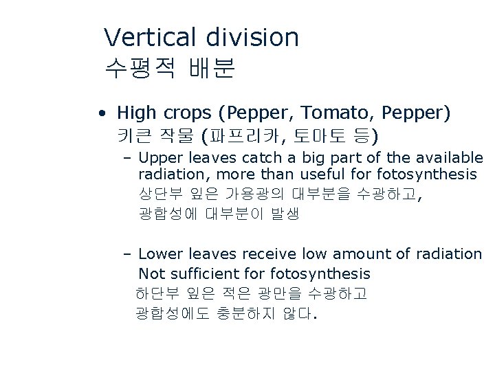 Vertical division 수평적 배분 • High crops (Pepper, Tomato, Pepper) 키큰 작물 (파프리카, 토마토