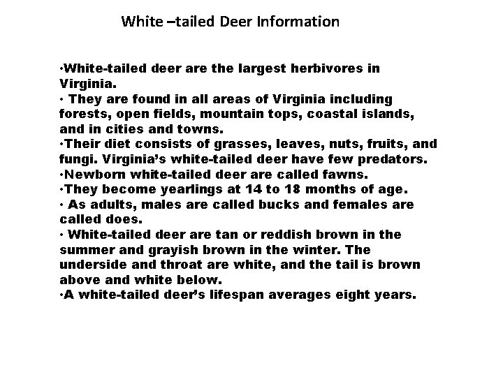 White –tailed Deer Information • White-tailed deer are the largest herbivores in Virginia. •