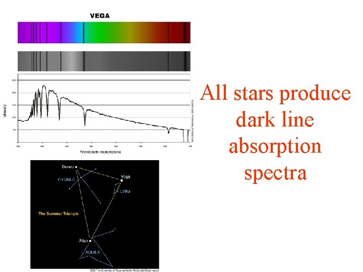 All stars produce dark line absorption spectra 