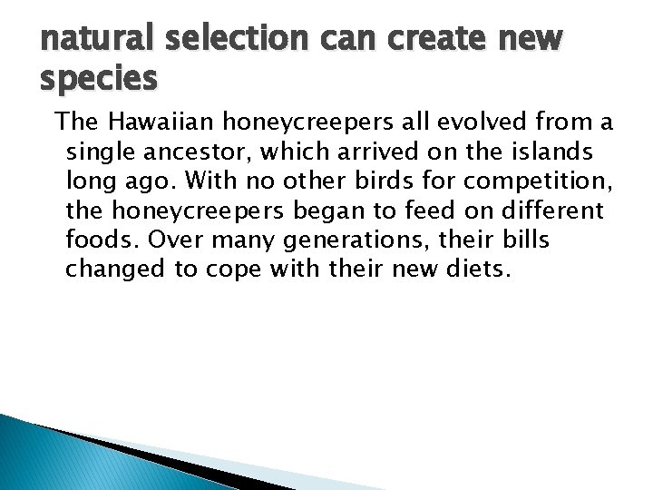 natural selection can create new species The Hawaiian honeycreepers all evolved from a single