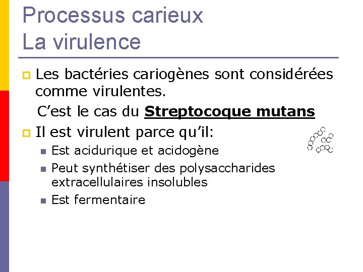Processus carieux La virulence Les bactéries cariogènes sont considérées comme virulentes. C’est le cas Processus carieux La virulence Les bactéries cariogènes sont considérées comme virulentes. C’est le cas