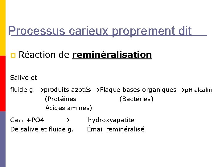 Processus carieux proprement dit p Réaction de reminéralisation Salive et fluide g. produits azotés Processus carieux proprement dit p Réaction de reminéralisation Salive et fluide g. produits azotés