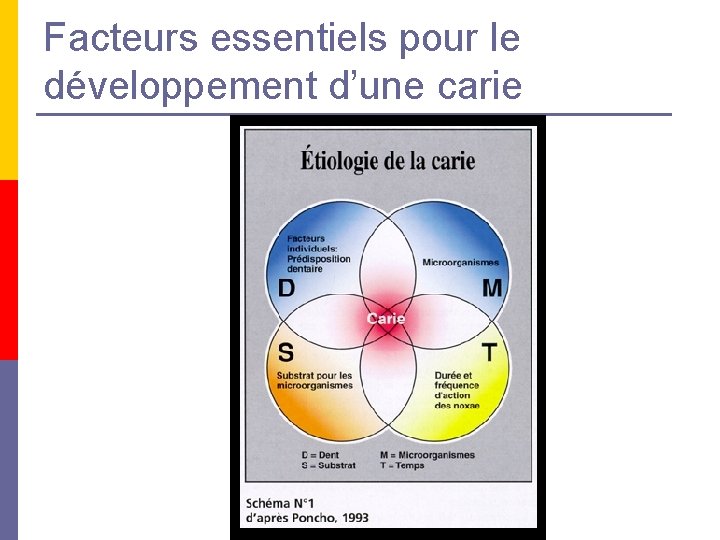 Facteurs essentiels pour le développement d’une carie Facteurs essentiels pour le développement d’une carie