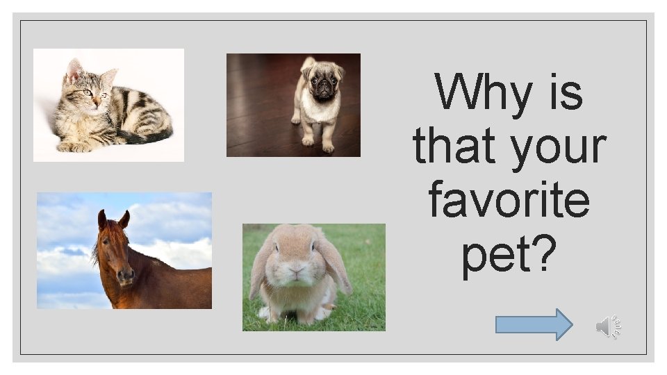 Why is that your favorite pet? 