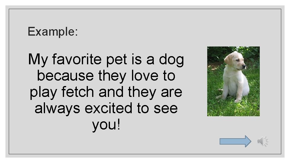 Example: My favorite pet is a dog because they love to play fetch and