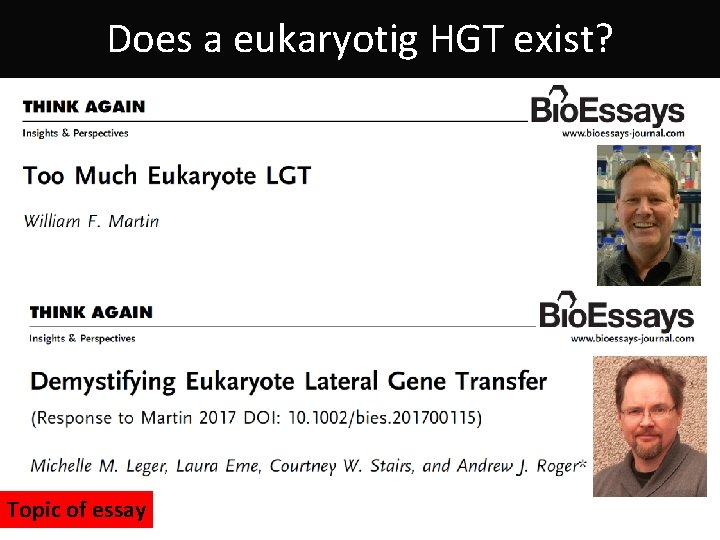 Does a eukaryotig HGT exist? Topic of essay 