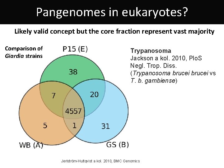 Pangenomes in eukaryotes? Likely valid concept but the core fraction represent vast majority Comparison