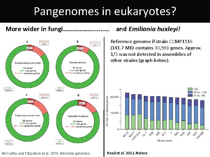 Pangenomes in eukaryotes? More wider in fungi………………. . and Emiliania huxleyi! Reference genome if