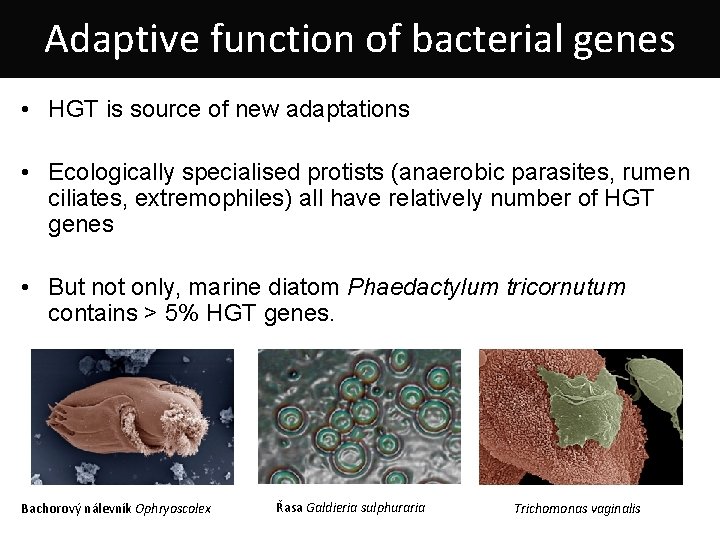 Adaptive function of bacterial genes • HGT is source of new adaptations • Ecologically