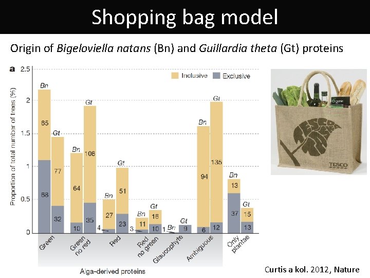 Shopping bag model Origin of Bigeloviella natans (Bn) and Guillardia theta (Gt) proteins Curtis