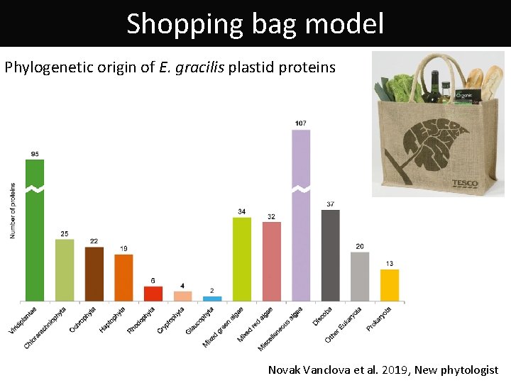 Shopping bag model Phylogenetic origin of E. gracilis plastid proteins Novak Vanclova et al.