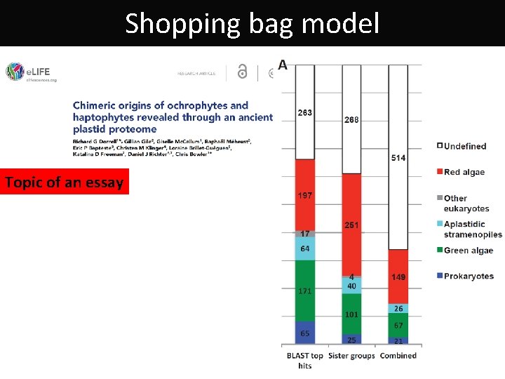 Shopping bag model Topic of an essay 