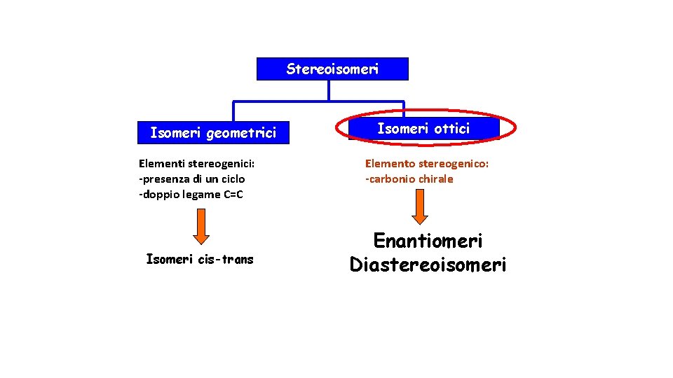 Stereoisomeri Isomeri geometrici Elementi stereogenici: -presenza di un ciclo -doppio legame C=C Isomeri cis-trans