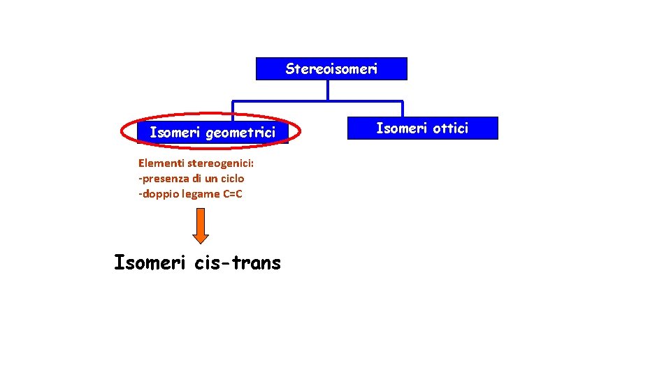 Stereoisomeri Isomeri geometrici Elementi stereogenici: -presenza di un ciclo -doppio legame C=C Isomeri cis-trans