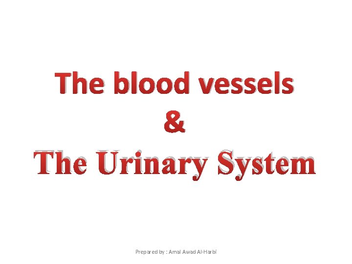 The blood vessels & The Urinary System Prepared by : Amal Awad Al-Harbi 