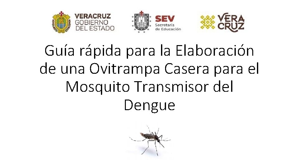 Guía rápida para la Elaboración de una Ovitrampa Casera para el Mosquito Transmisor del