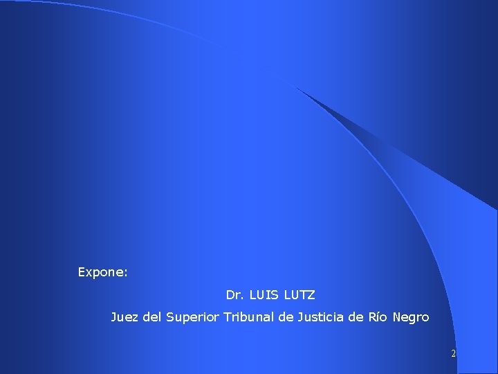 Expone: Dr. LUIS LUTZ Juez del Superior Tribunal de Justicia de Río Negro 2