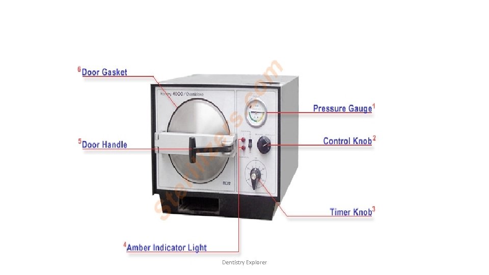 Dentistry Explorer Dentistry Explorer