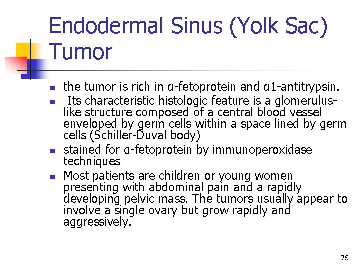 Endodermal Sinus (Yolk Sac) Tumor n n the tumor is rich in α-fetoprotein and