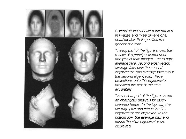 Psychological and Neural Perspectives on Human Face Recognition