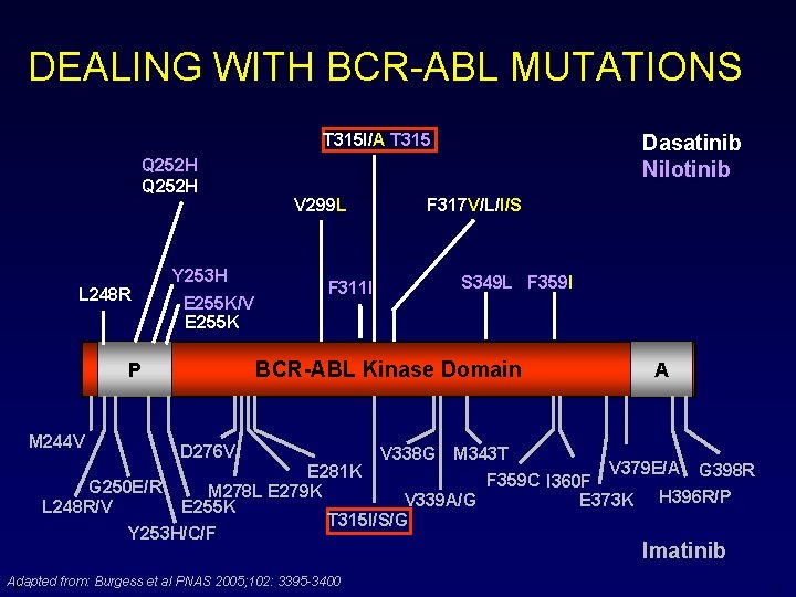 DEALING WITH BCR-ABL MUTATIONS T 315 I/A T 315 I Q 252 H L