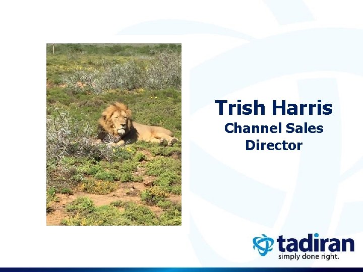 Trish Harris Channel Sales Director 