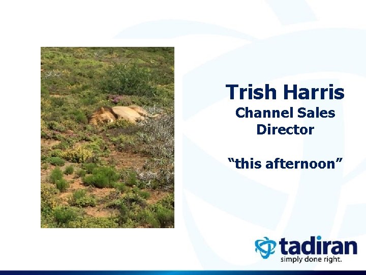 Trish Harris Channel Sales Director “this afternoon” 