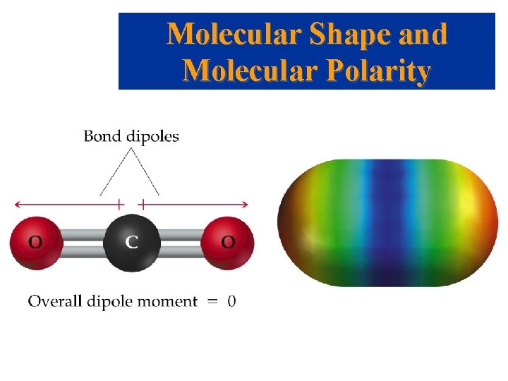 Molecular Shape and Molecular Polarity 