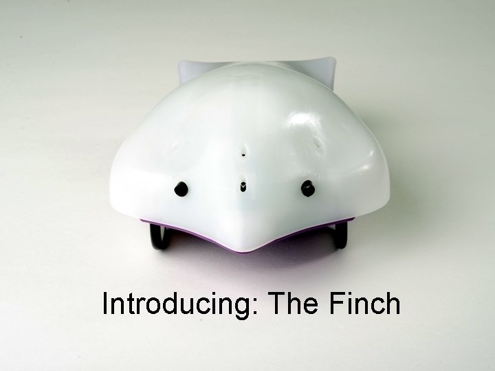 Introducing: The Finch 