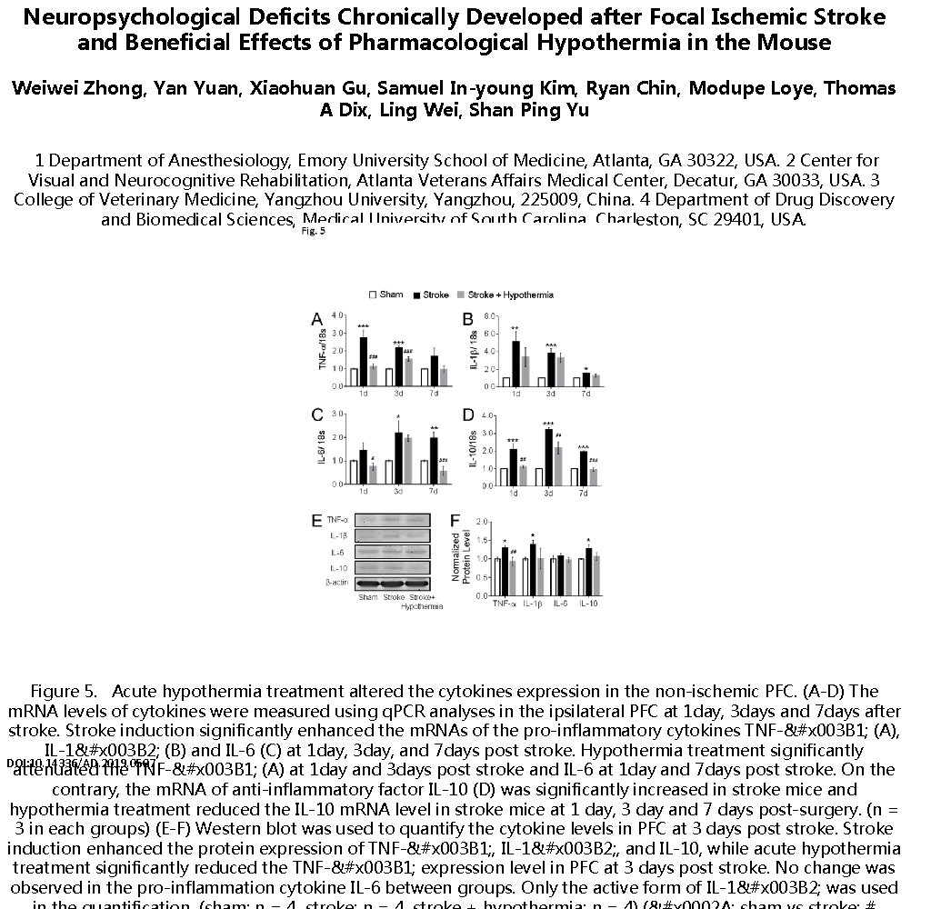 Neuropsychological Deficits Chronically Developed after Focal Ischemic Stroke and Beneficial Effects of Pharmacological Hypothermia