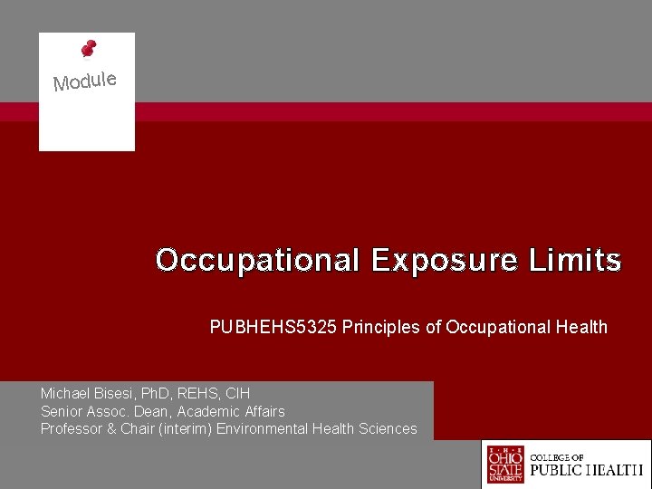 Module Occupational Exposure Limits PUBHEHS 5325 Principles of Occupational Health Michael Bisesi, Ph. D,