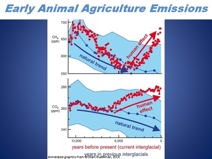 Early Animal Agriculture Emissions Annotated graphics from William Ruddiman, 2014. 